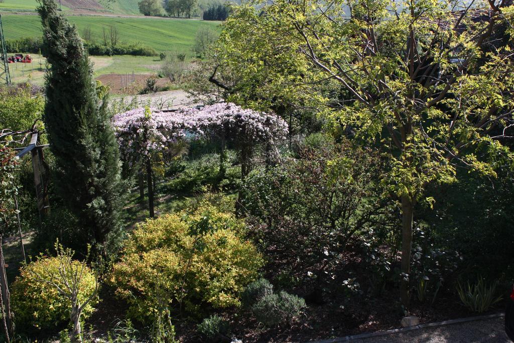 B&B La Casetta Villaromagnano Dış mekan fotoğraf